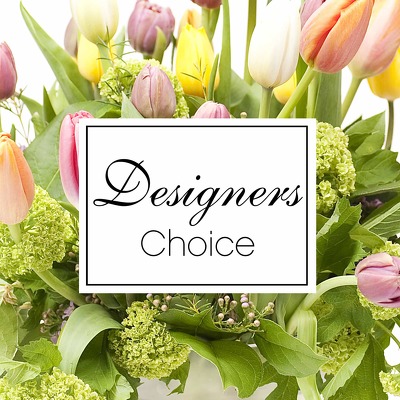 Designer's Choice - Pastels
